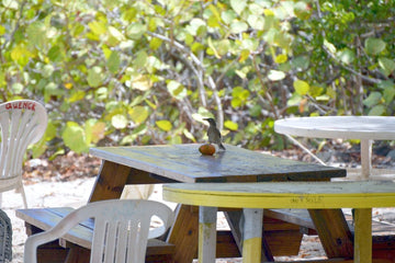 Sustainable Outdoor Furniture Options: Enhance Your Patio with Eco-Friendly Choices - Sonkuki