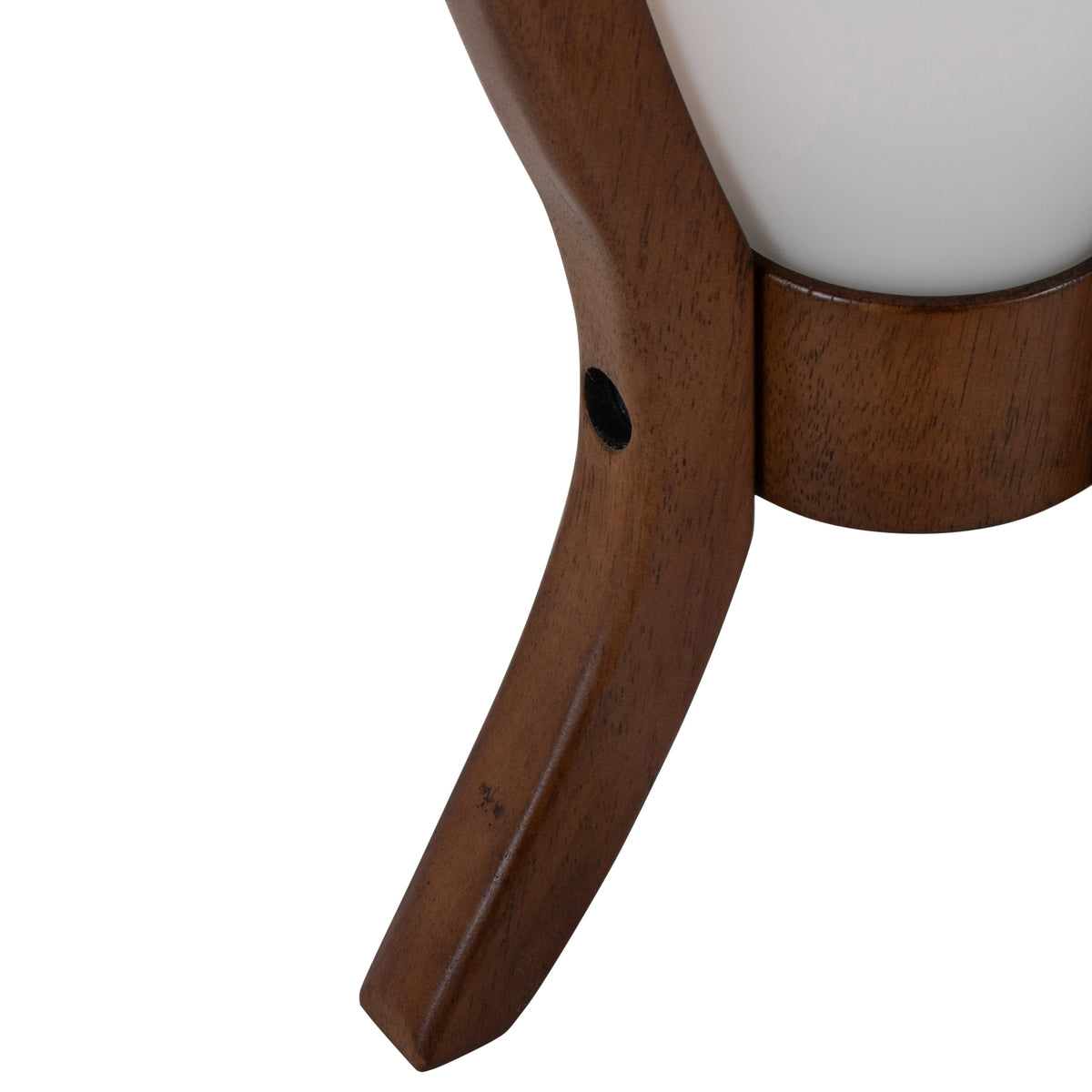 Case Contemporary Desk Lamp with Walnut Wood and Frosted Glass by LumiSource - Sonkuki